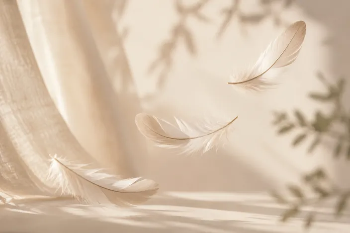 Plumes blanches dans une ambiance douce et apaisante
